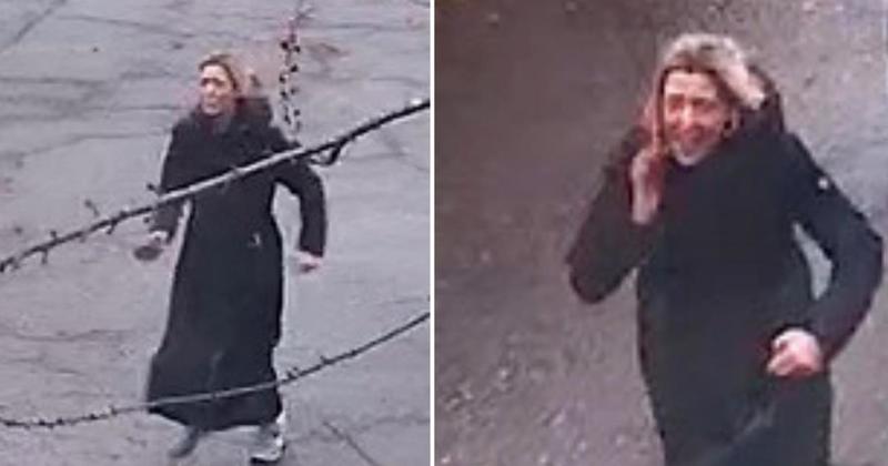 Dog attack probe continues after police appeal