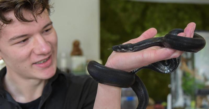 Owner of reptile shop helping city folk face their fears
