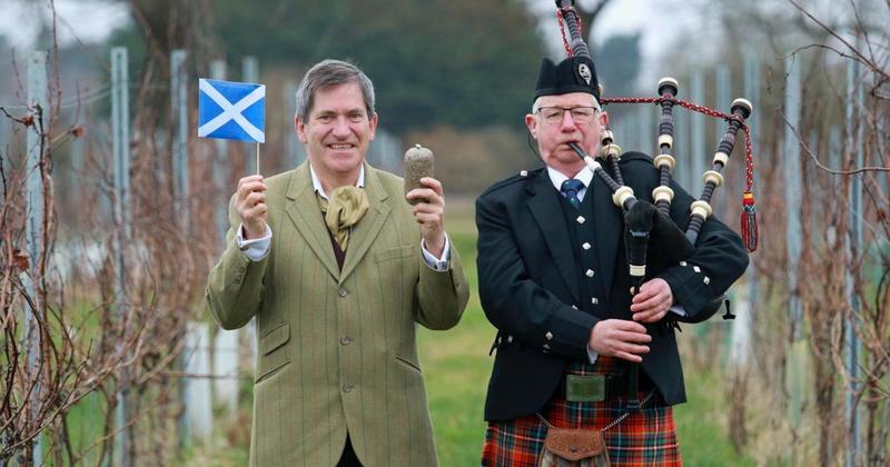 Vineyard to assemble wine lovers and whisky fans for Burns Night