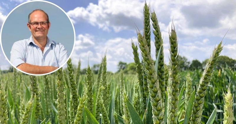 Crop science advantages must not be sacrificed in EU trade talks, warns farm leader