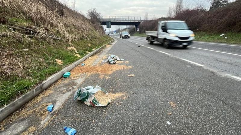 Rifiuti lungo la statale «42», situazione insostenibile: «Servono le telecamere»