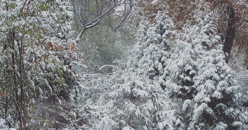 Fatigue: A Frustrating Symptom of Chronic Illness