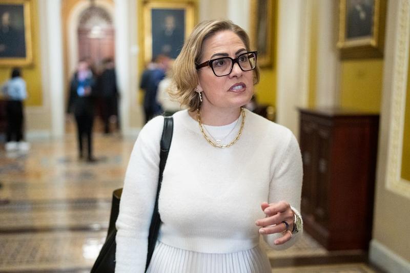 Kyrsten Sinema Sued Under Rare Law for Being a Home-Wrecker