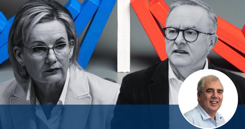 Gory sausage making at the Labor knackery