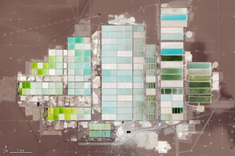 El desafío de J. A. Kast: quitar el bozal al litio y a la salmonicultura