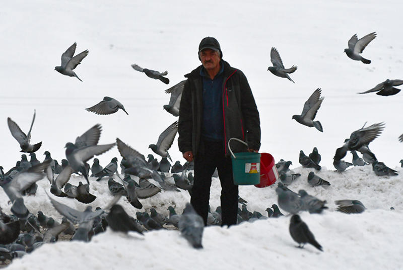 Kars’ta Yaban Kuşları İçin Her Sabah Sofra Kuruyor
