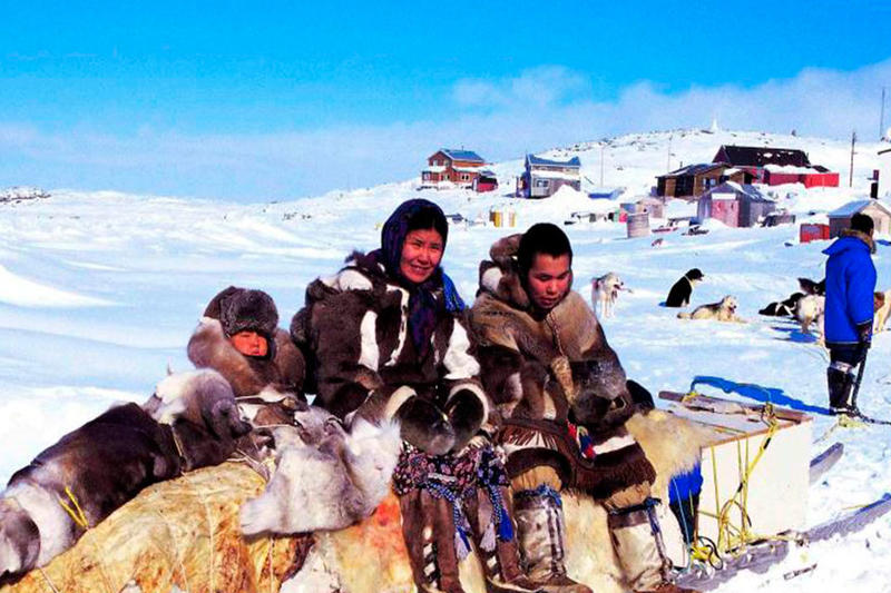 Ciempiés bailando conga, por Aglaya Kinzbruner