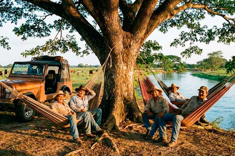 Paseo bucólico, por Marcial Fonseca