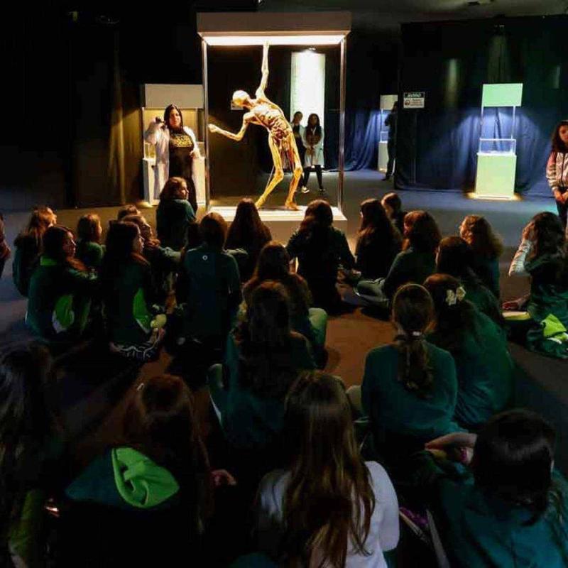 Maravilha do corpo humano é destaque do fim de semana