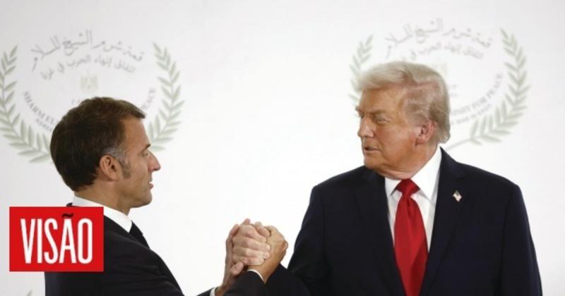 A história do leão e da vaca