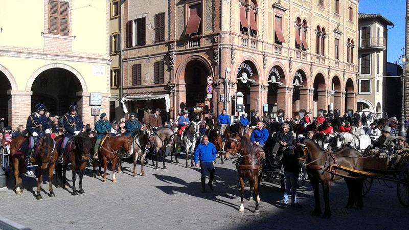 Domenica benedizione degli animali a Tolentino