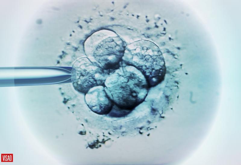 Opinião | De resoluções a realização: entender a fertilidade e os primeiros passos