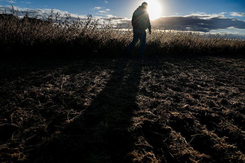 American farmers, who once fed the world, face a volatile global market with diminishing federal backing