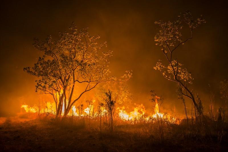 Heatwaves, bushfires, and the words that save lives