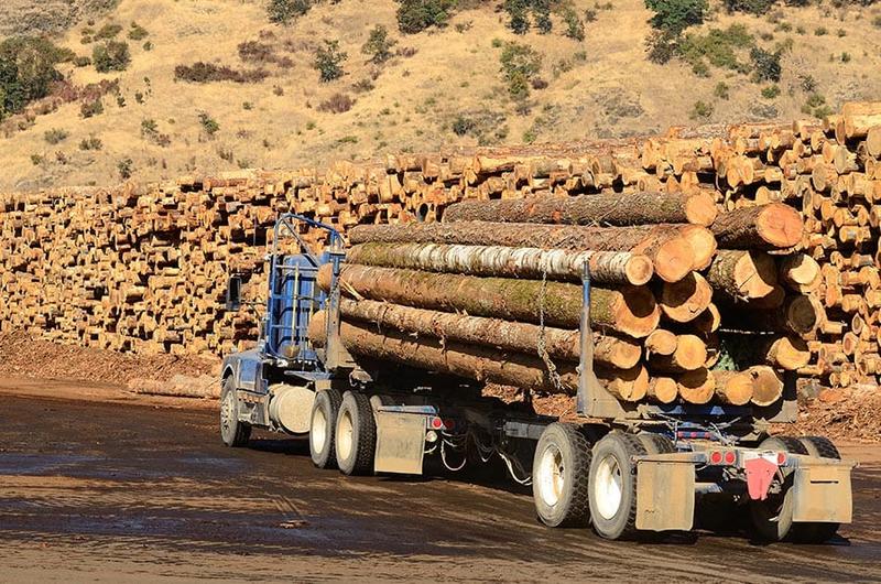 Haos u Šumama Srpske: Radnici na minimalcu, direktori sebi dižu plate