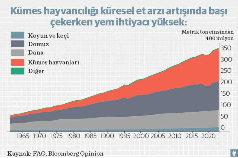 Protein çılgınlığı, yeni beslenme piramidi ve hayvancılık