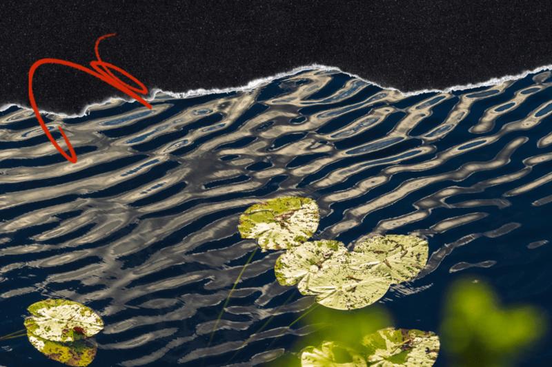 The Thought Experiment That Started a Revolution