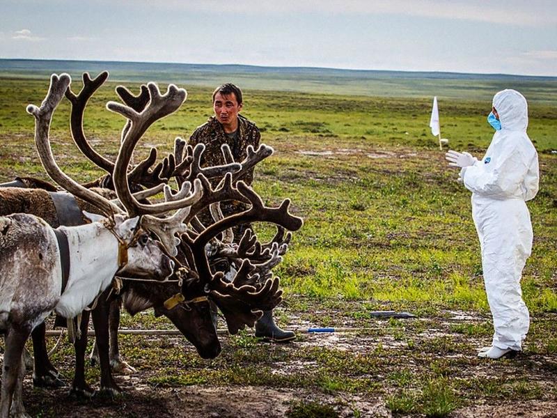 The Right Chemistry: Bacteria are fearsome, especially when weaponized