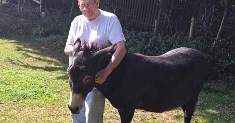 Beloved city donkey dies after 16 years living in Norwich meadow