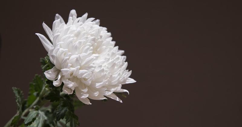 Σητεία: Αναστέλλει τις προγραμματισμένες εκδηλώσεις ο σύλλογος «Ο Μύσων»