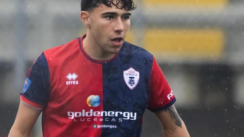 Vigor cerca conferme: 