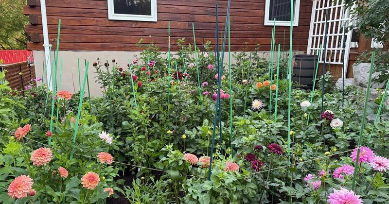 Gardening doesn’t stop in winter