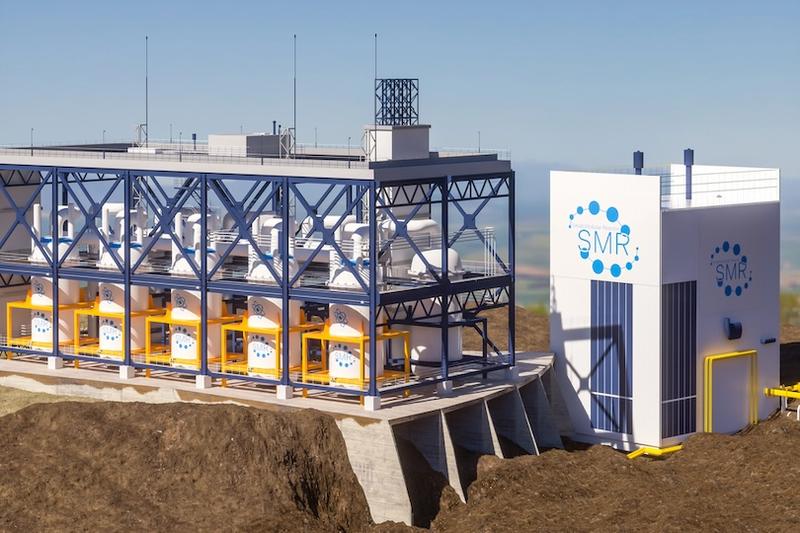 Proliferation Risks Associated with Small Modular Reactors