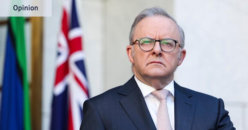 Albanese loves to ban things. But PM, your prohibition fixation’s not working