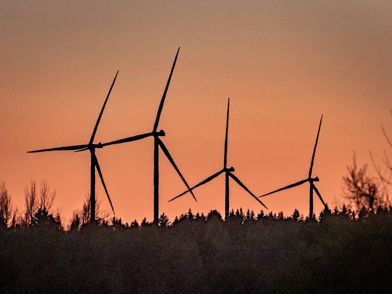 Ympäristö | Lukijalta: Kenen ehdoilla luonto muuttuu?