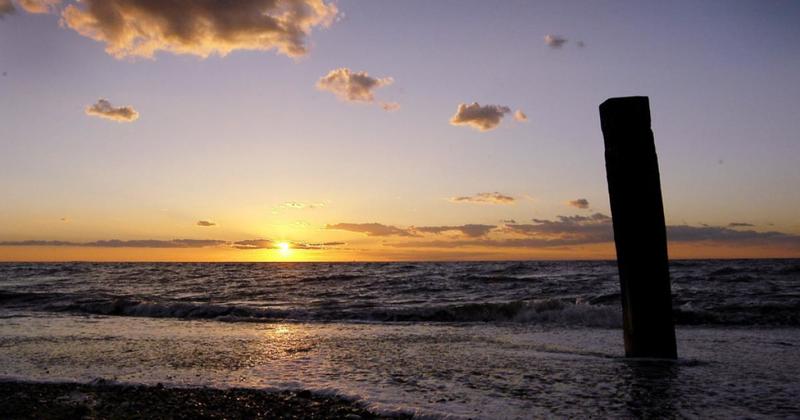 Anger over dog poo blighting Norfolk beach renowned for wildlife