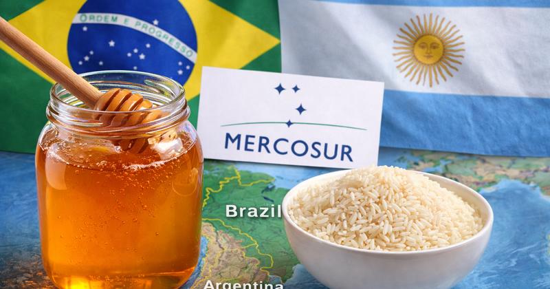 Mercosur: Μέλι και ρύζι τα πρώτα θύματα της συμφωνίας - Σήμα κινδύνου για την ελληνική γεωργία