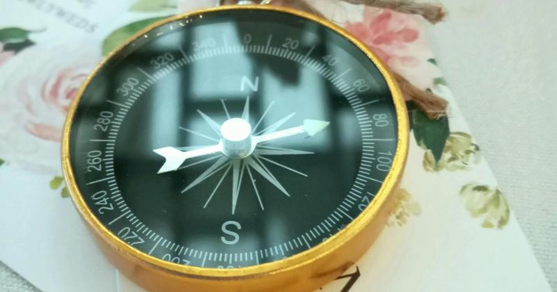 Examining Our Compass of Trust