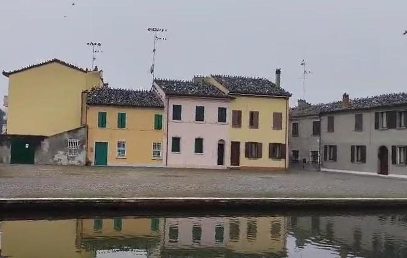 Comacchio invasa dai colombi: «Non dategli da mangiare»
