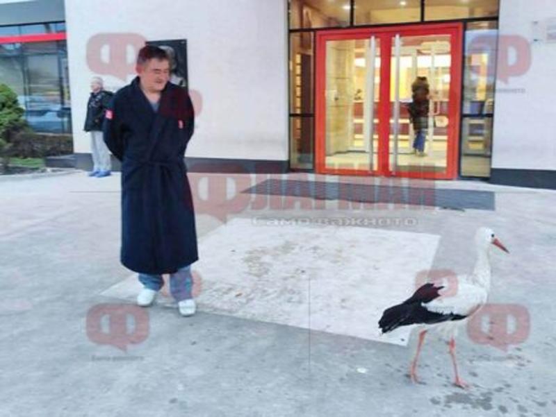 Главната мед.сестра на УМБАЛ 