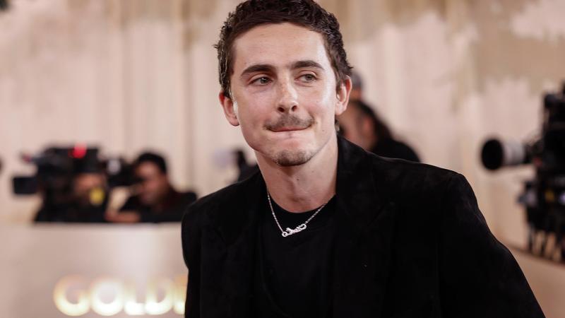 Timothée Chalamet: “Ricerco la grandezza. Faccio film con la feroce determinazione di chi non accetta un no”