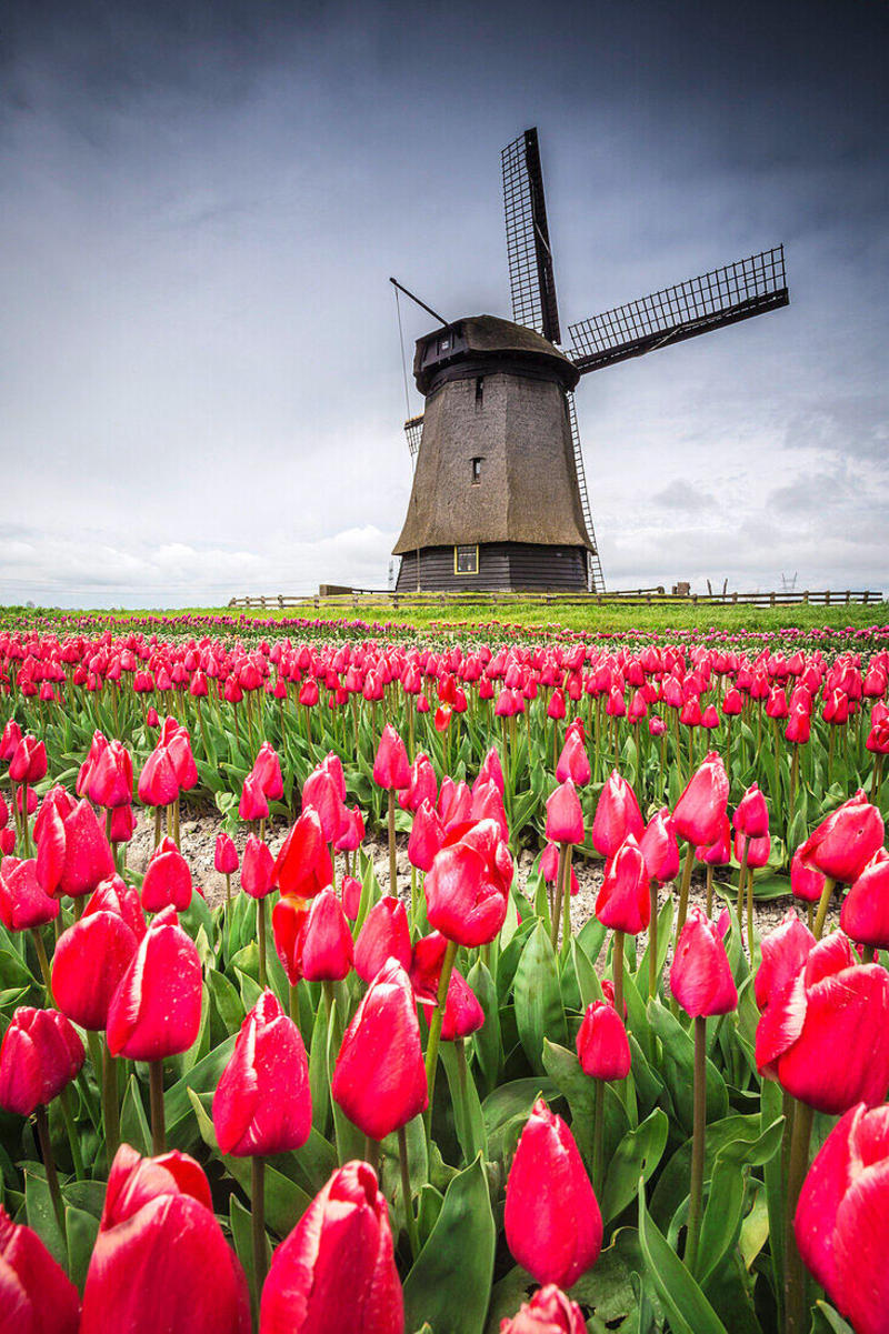 Bisikletler ve kanallar