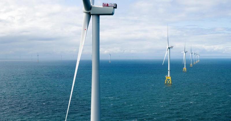 We are selling Scotland's soul to make energy giants rich