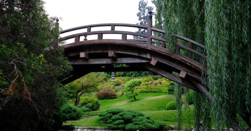 Publishing Untold Stories From the Worlds of the Subconscious