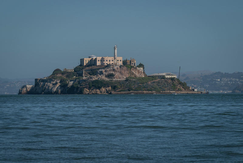 Coyote swims to Alcatraz for first time ever, baffling experts