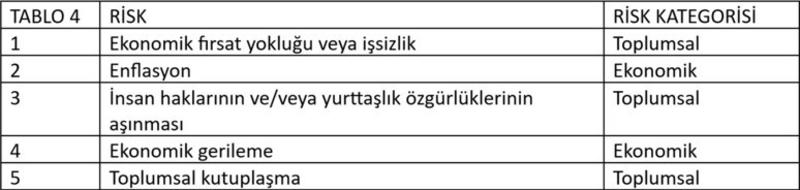 WEF Küresel Riskler Raporu 2026 ve ekonomi-II