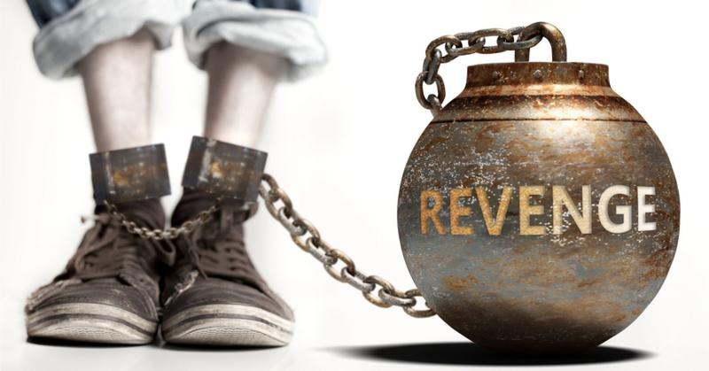 Why Success Is the Ultimate Revenge