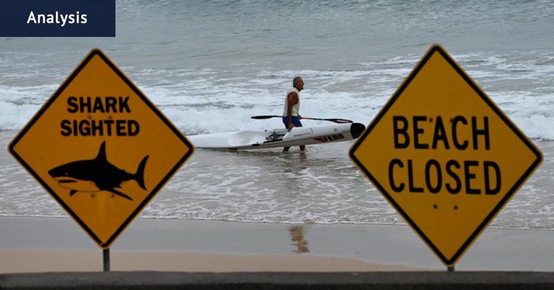 Murky warm water, full beaches a ‘perfect storm’ for shark attack