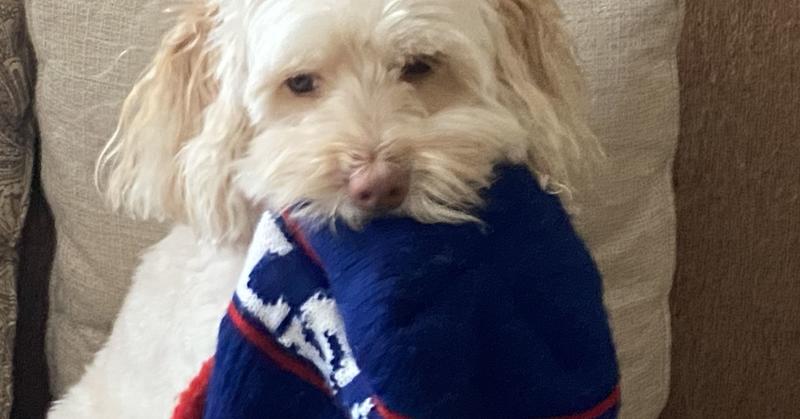 Does Firing a Head Coach Improve a Team’s Prospects?