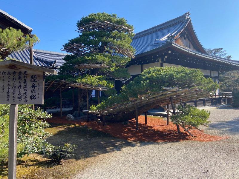 Staring at rocks and glowing ducks on the other side of the planet Staring at rocks and glowing ducks on the other side of the planet