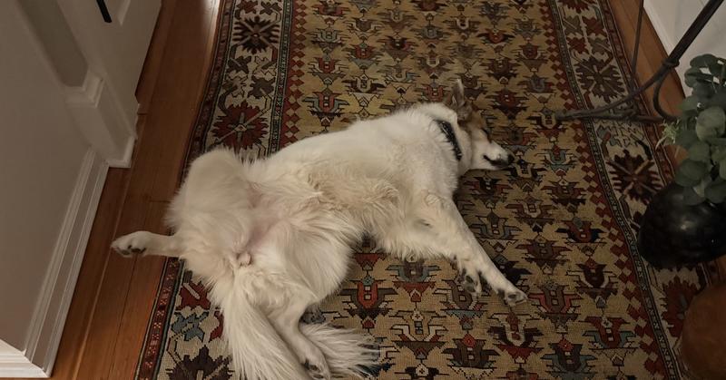 Learning to Reveal Our Unlovable Parts