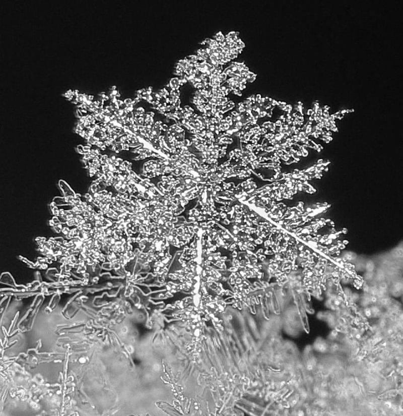 While You Were Sleeping…