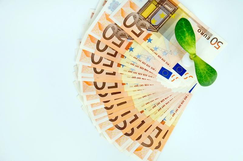 Balancing Green Goals and Competitiveness: Reframing EU Climate Policy