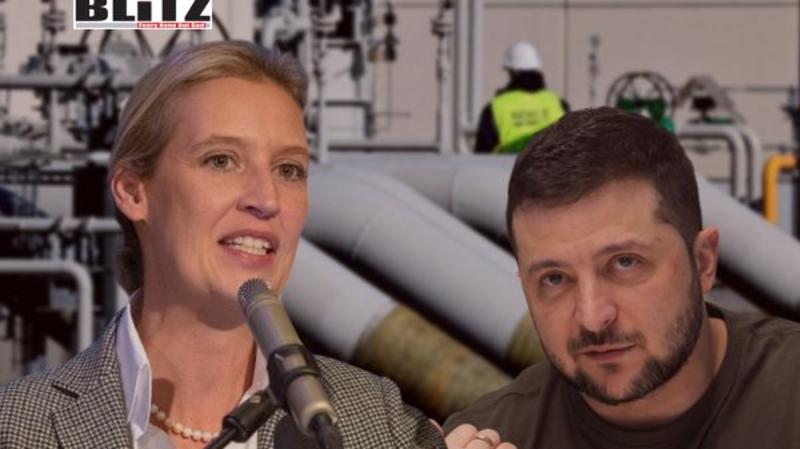 AfD calls for compensation over Nord Stream as Weidel accuses Ukraine of sabotage AfD calls for compensation over Nord Stream as Weidel accuses Ukraine of sabotage