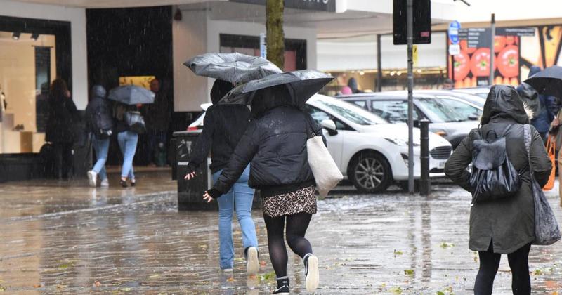 Storm Chandra to bring 50mph gusts to Norfolk
