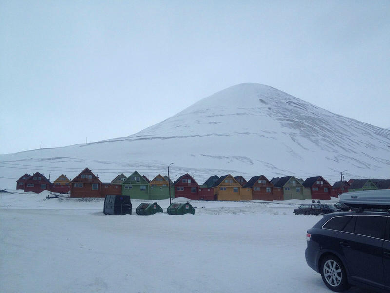 Det farlege er ikkje usemje